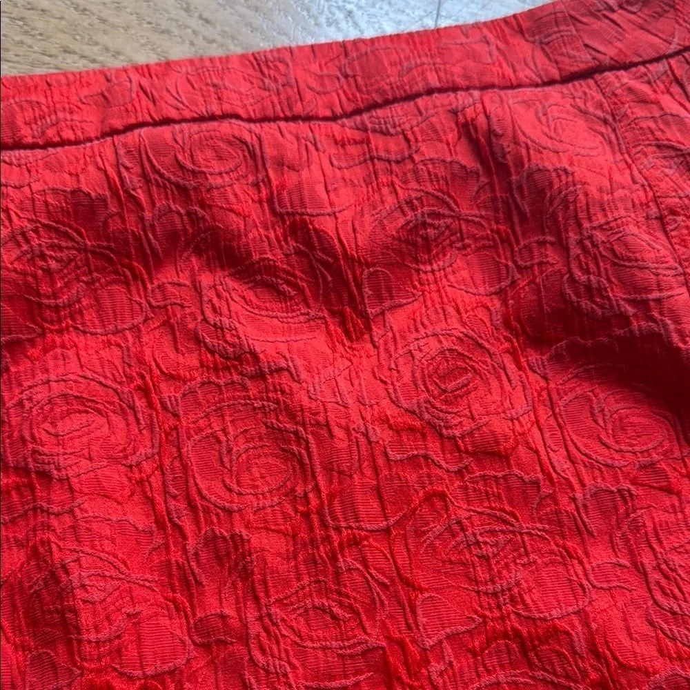 Anthro skirt - Vanessa Virginia